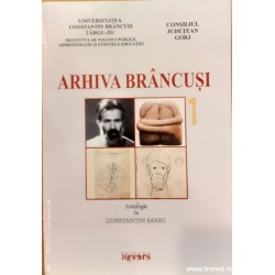 Arhiva Brancusi vol.1