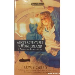 Alice's adventures in...