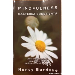Mindfulness Nasterea...