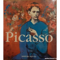 Picasso 1881-1973
